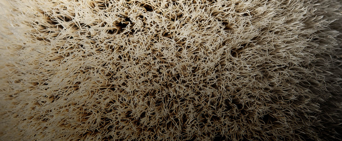 Shaving brush knots misteries the gel tips feature.